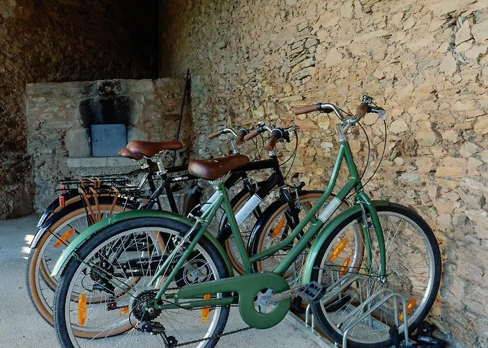 Quinta Do Doutor * Vila Nova de Famalicão